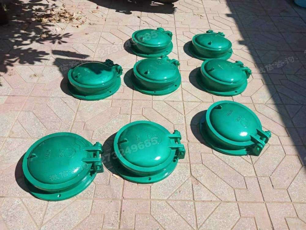 盱眙县多规格玻璃钢拍门