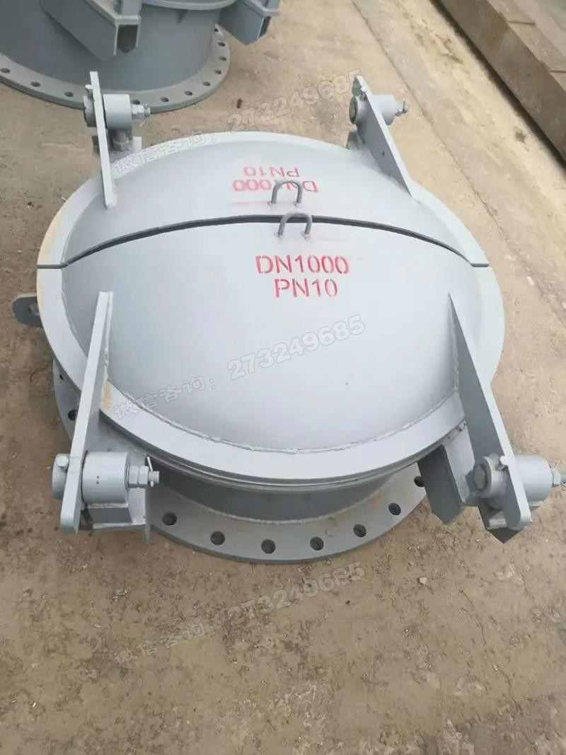 DN1000不锈钢拍门