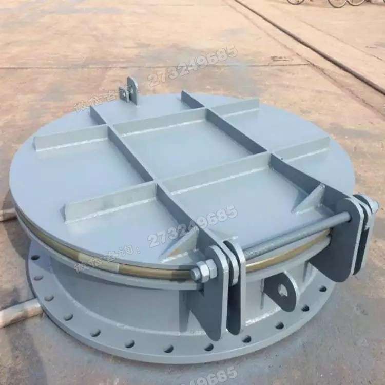 米脂县密封型钢制拍门