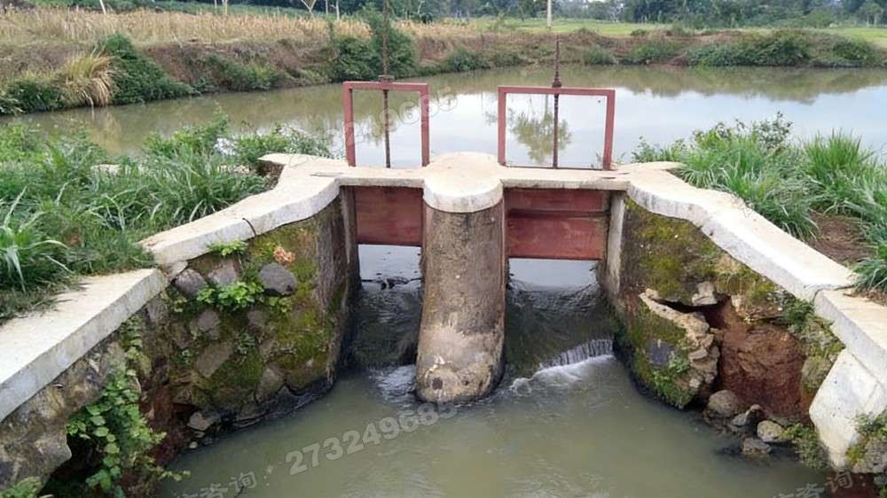 河岸渠道分流闸