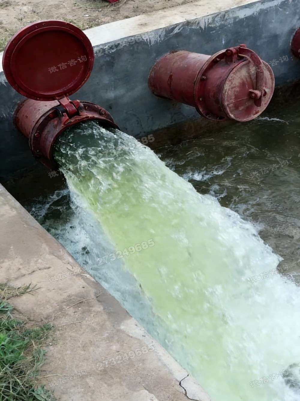 盱眙县河道双组排水拍门