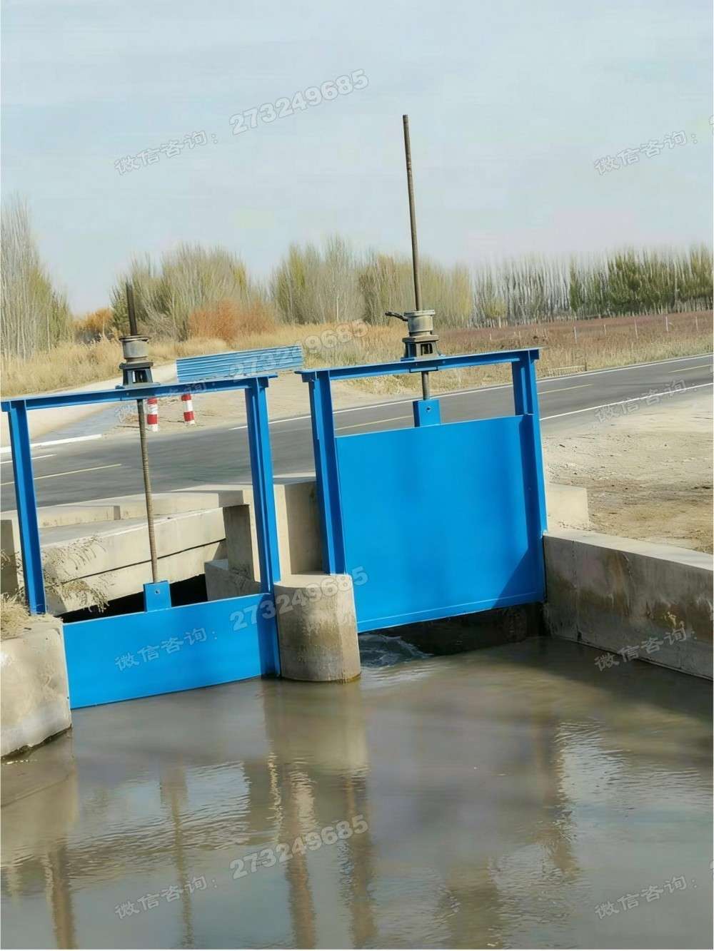 双门渠道排水闸门