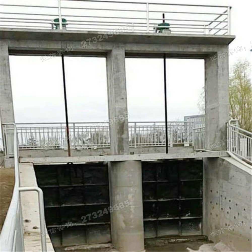 双空儿铸铁方闸门